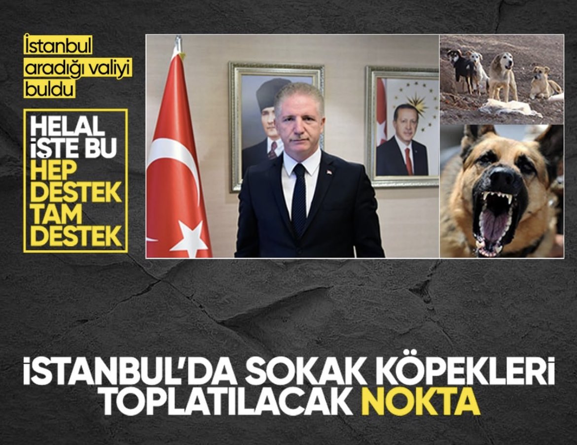 Diğer illere örnek olması temennisiyle…⁦<a href="/KopekSorunu/">Başıboş Köpek Sorunu - Stray Dog Problem</a>⁩