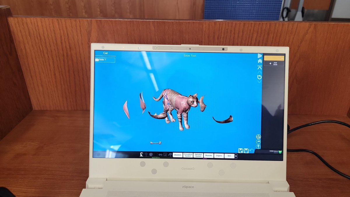 Clint High School STEM tweet media