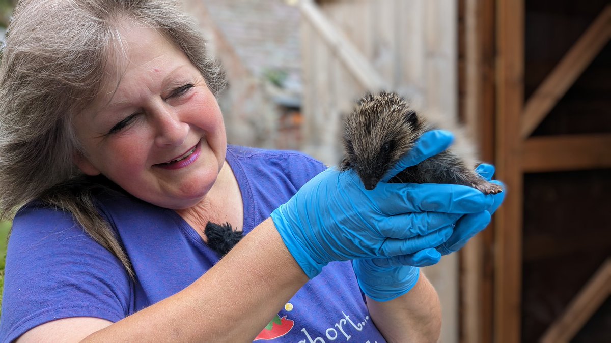 Simon Spark tweet media