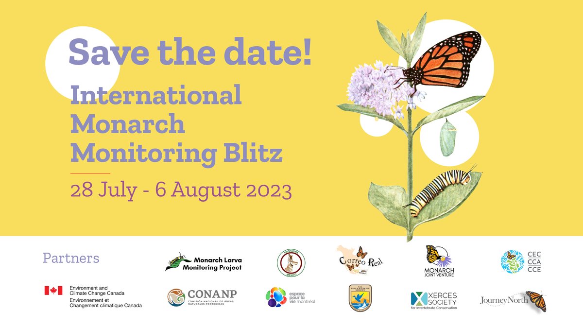 CECweb's tweet photo. 🦋 The 7th annual International Monarch Monitoring Blitz starts next week! 🦋

Last year about 6,000 observations were collected; will you help us increase that number this year?

Learn how to get involved: 👉https://t.co/PYsHGPdsD6 https://t.co/G5GT8qU21k