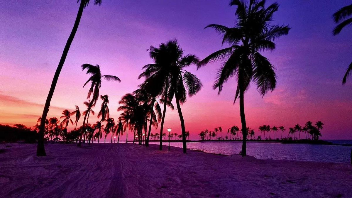 DHoarafushi's tweet photo. 📍 Ha.Hoarafushi
#visithoarafushi  #hoarafushi https://t.co/NUcwI7aRTP