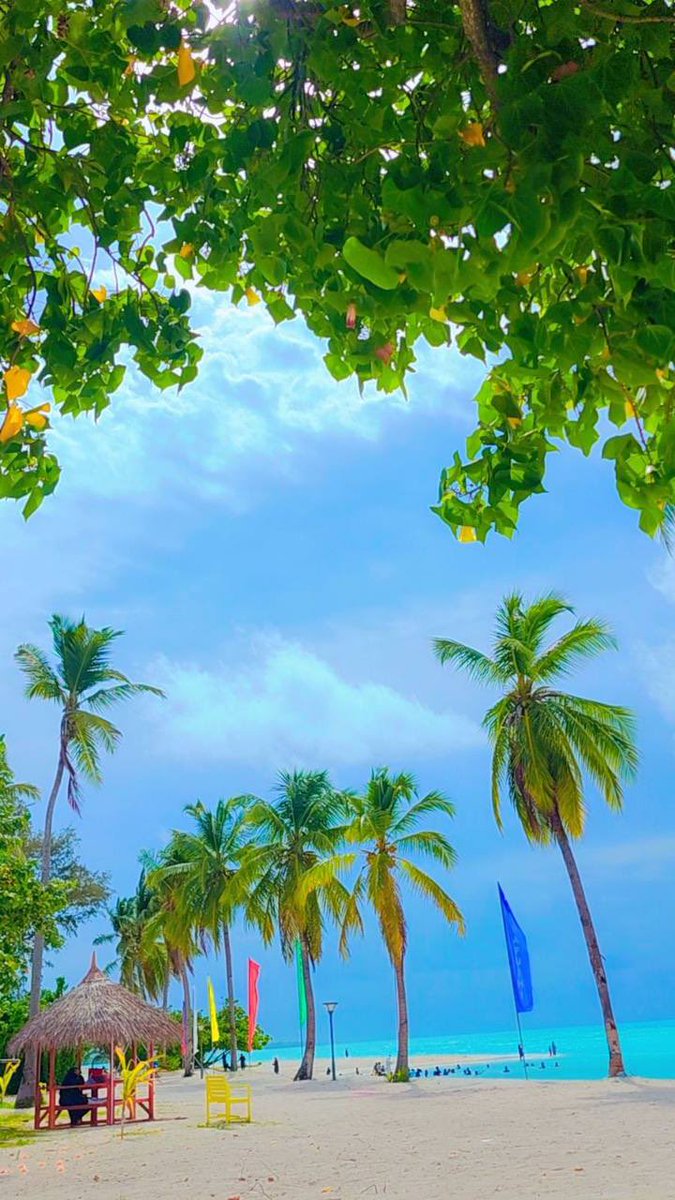 DHoarafushi's tweet photo. https://t.co/WMjBelCvWU