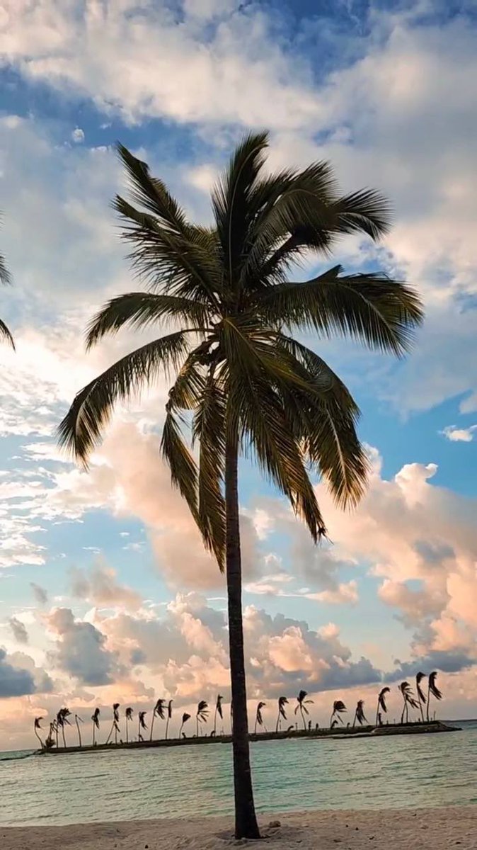 DHoarafushi's tweet photo. https://t.co/WMjBelCvWU