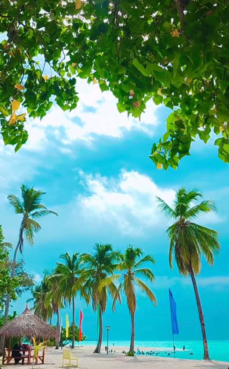 DHoarafushi's tweet photo. https://t.co/WMjBelCvWU