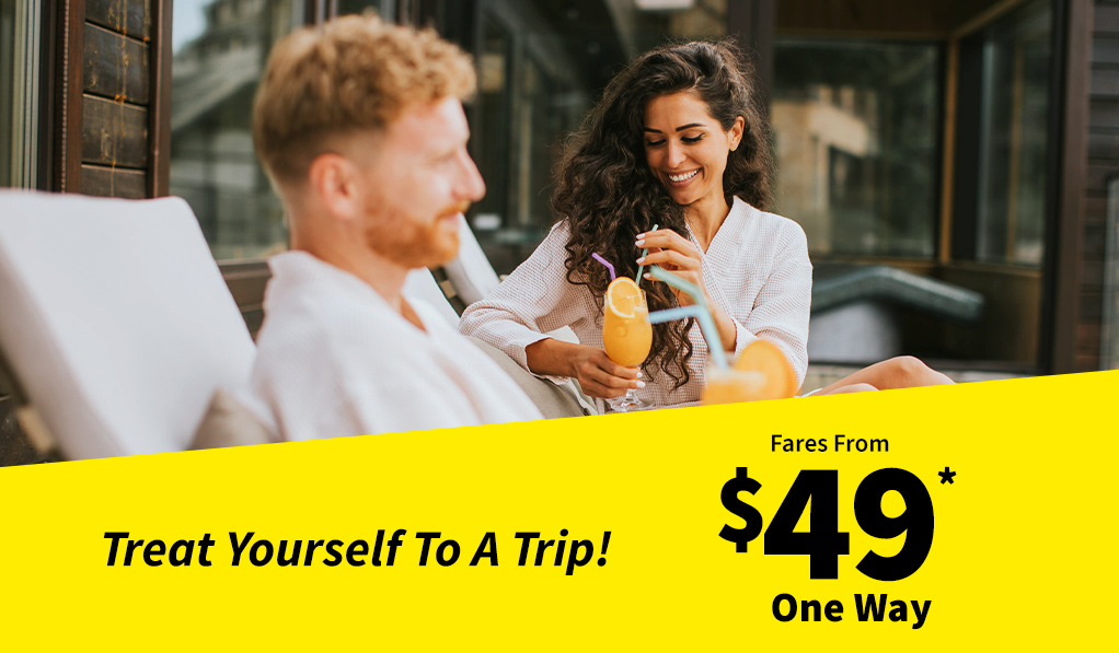 Spirit Airlines tweet media