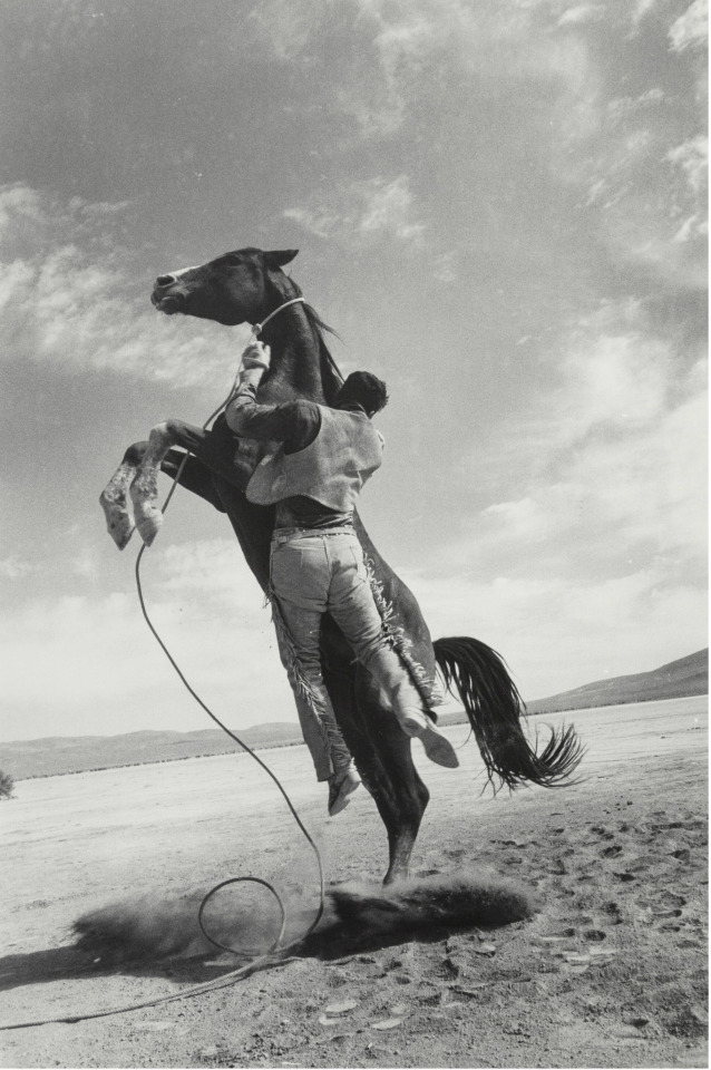 Ernst Haas