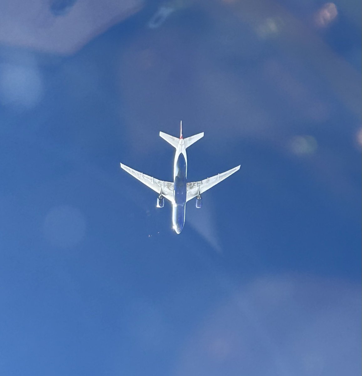 john doidge tweet media