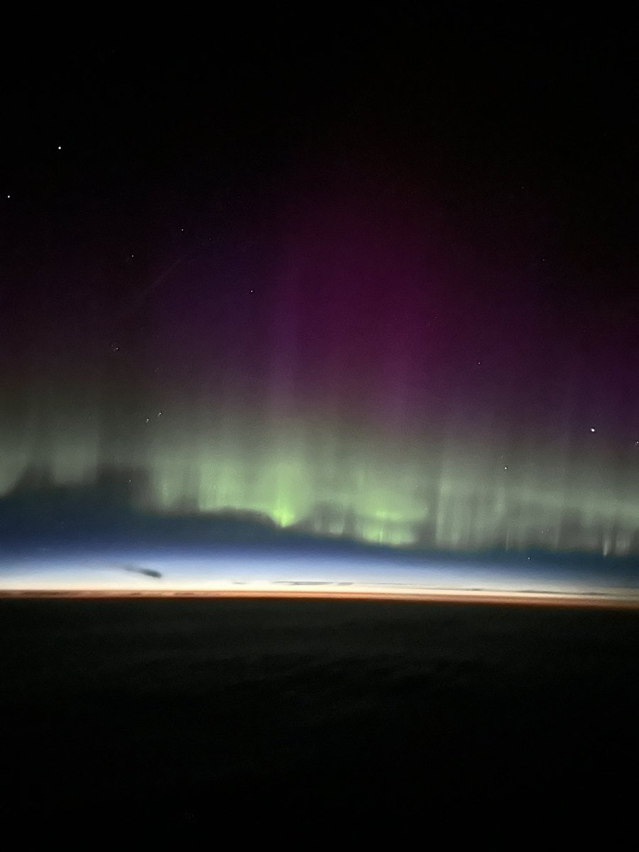 john doidge tweet media