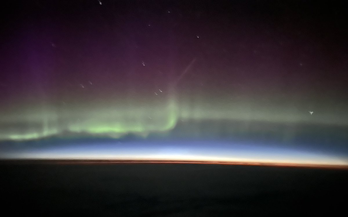 john doidge tweet media