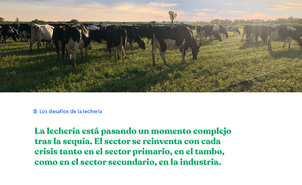 agrovisionprof's tweet photo. 🐄 Durante el Congreso Lechero organizado por CREA se intentó mostrar la actualidad de la actividad y también los caminos hacia una lechería futura.

📌Leé la nota completa en https://t.co/zI9GipTkdx

#lecheria https://t.co/QPjRLVX9TY