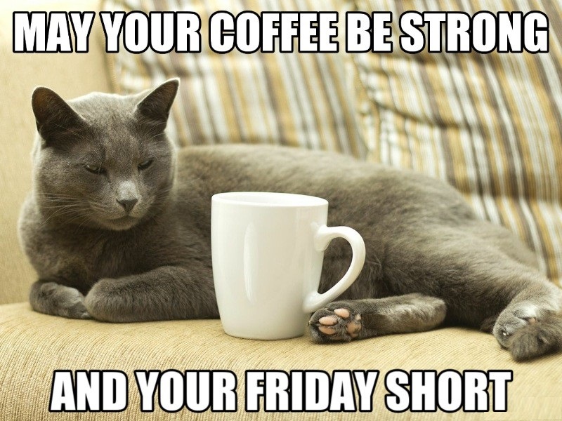 HealthySol4Pets's tweet photo. Wishing you a very happy #Friday! 🐶🐱☕️

🛒Purchase your favorite Healthy Solutions for Pets products by visiting our website!
👉 https://t.co/JdFz60GcE9

#weekend #dogs #cats https://t.co/4Dg1umiawl