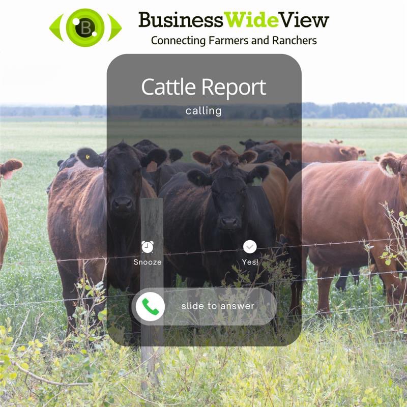 Stay tuned: every Friday we release our weekly cattle report presented by TEAM (The Electronic Auction Mart). Keep your eyes peeled, & stay up to date on the market with us! #BusinessWideView #Producers #CanadianBeef #AlbertaBeef #Ranchers #Farmers #Agriculture #CdnAg #Agtwitter