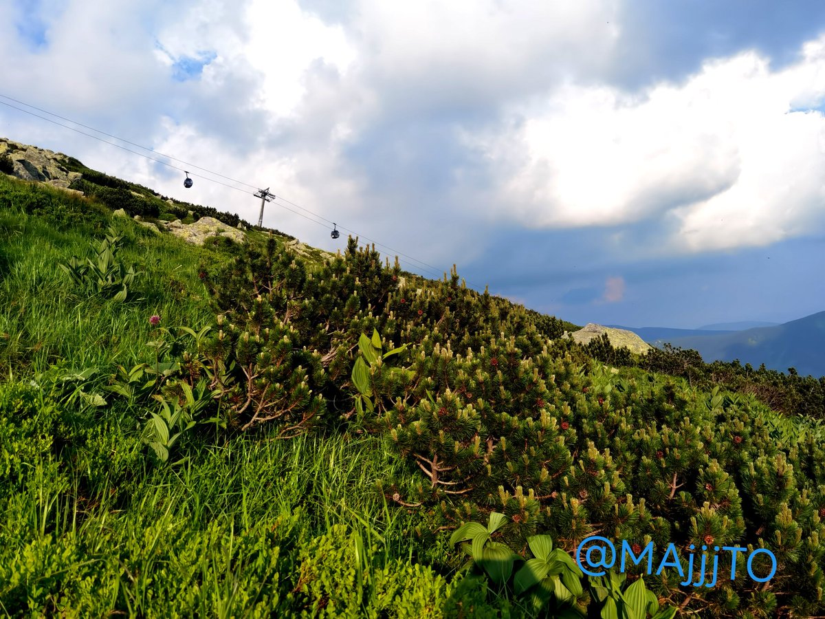 Majjto's tweet photo. 💎💎💎Summer Ski Resort CHOPOK🚀🚀🚀

#SKI #LIVE #NEWS #TODAY #ADVANTURES #WALK #WALKING #NATURE #NATIONALPARK #ADVANTURES #WALK #WALKING #NATURE #NATIONALPARK #ADVANTURES #HIKING #BIKING #VIEW #FOREST #SKY #GYM #HIKING #BIKING #VIEW #FOREST #SKY #GYM #HIKING #BIKING #VIEW https://t.co/uWHYiZ3rlU