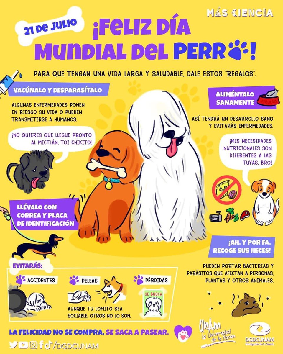 DGDCUNAM's tweet image. 🐶¿Qué mejor manera de festejar a nuestros lomitos que cuidándolos con mucho cariño?🐕

Hoy es el #DíaMundialDelPerro, ¡y te compartimos algunos tips para una vida larga y saludable con #MásCiencia!🐾