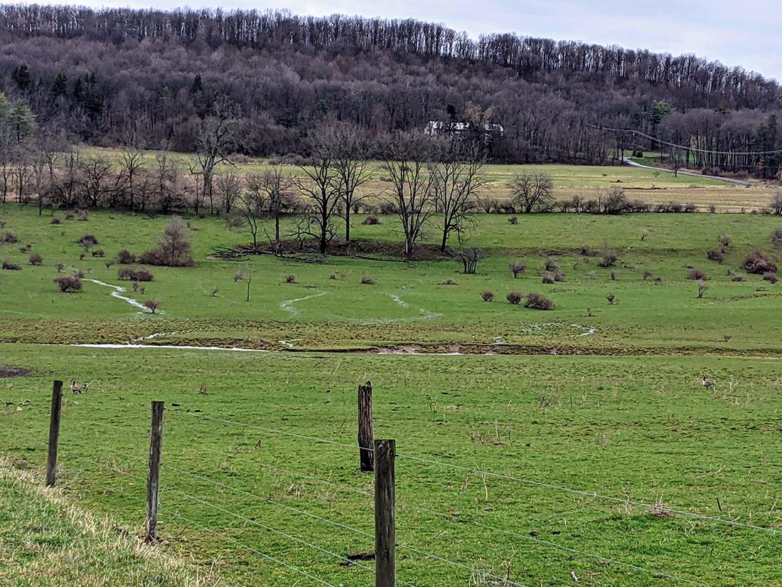 USDA_NIFA's tweet photo. A multidisciplinary @PSUresearch team is studying whether agricultural pollution-prevention devices called riparian buffers are working properly. https://t.co/DLlvNuZNoD