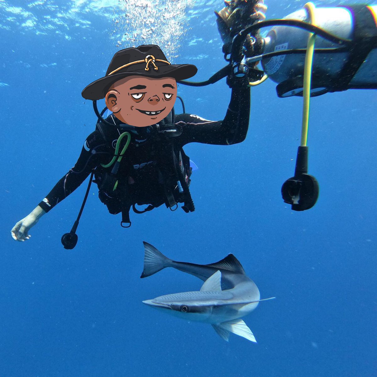 GM its Fridaaaay! ☀️

One of my favorite pictures doing what I love DIVING!

Have a great weekend and do more of the things you love!