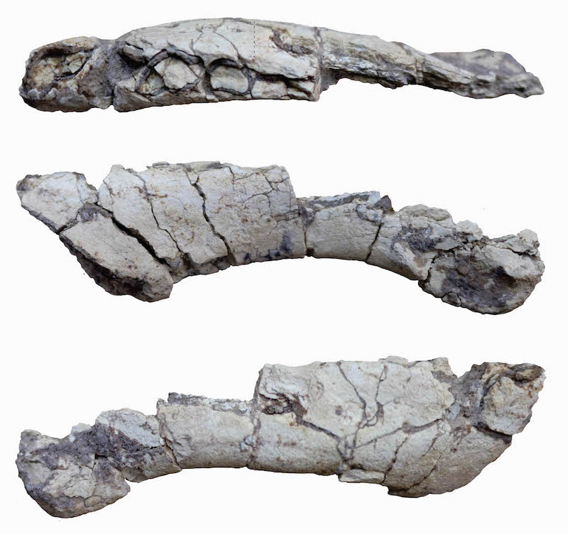 Darin Croft tweet media