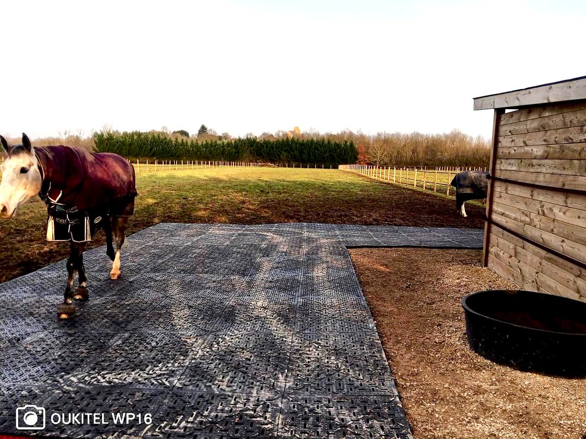 racing_wf's tweet photo. Ground Stabilization Mats now available -
Made from 100% Recycled Materials.
Interlocking for stability and ease of fitting.
Drainage holes.
Profiled to be Non Slip
Double sided – Flatter side for Walkways, Gateways, Hay feeding Sites, Field Shelters Etc.
#recycled
#turnout https://t.co/vZbDhIjhqL
