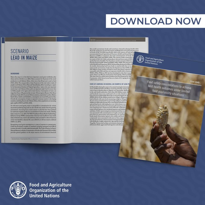 FAOWHOCodex's tweet photo. 📘 | #FoodSafety is interlinked with and essential to achieving food security.

An @FAO publication lays out food safety considerations that can be helpful in situations where the impact of limited food availability is mitigated through food aid.

➕ℹ️➡️ https://t.co/5Nno9Qltd7 https://t.co/AHlcNw6zJZ