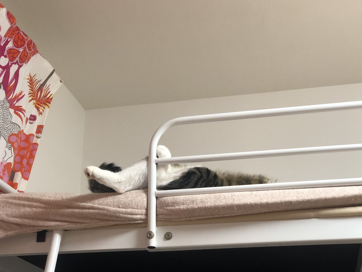 なんかおるな
