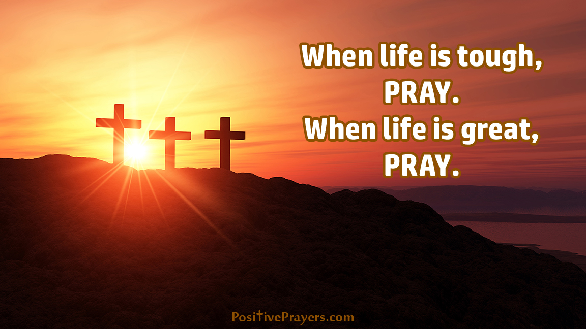 AmazingAnimalsX's tweet photo. When life is tough, PRAY.
When life is great, PRAY.

#PositivePrayers * https://t.co/zaH7YiM2mb https://t.co/3BRMk2J3G2