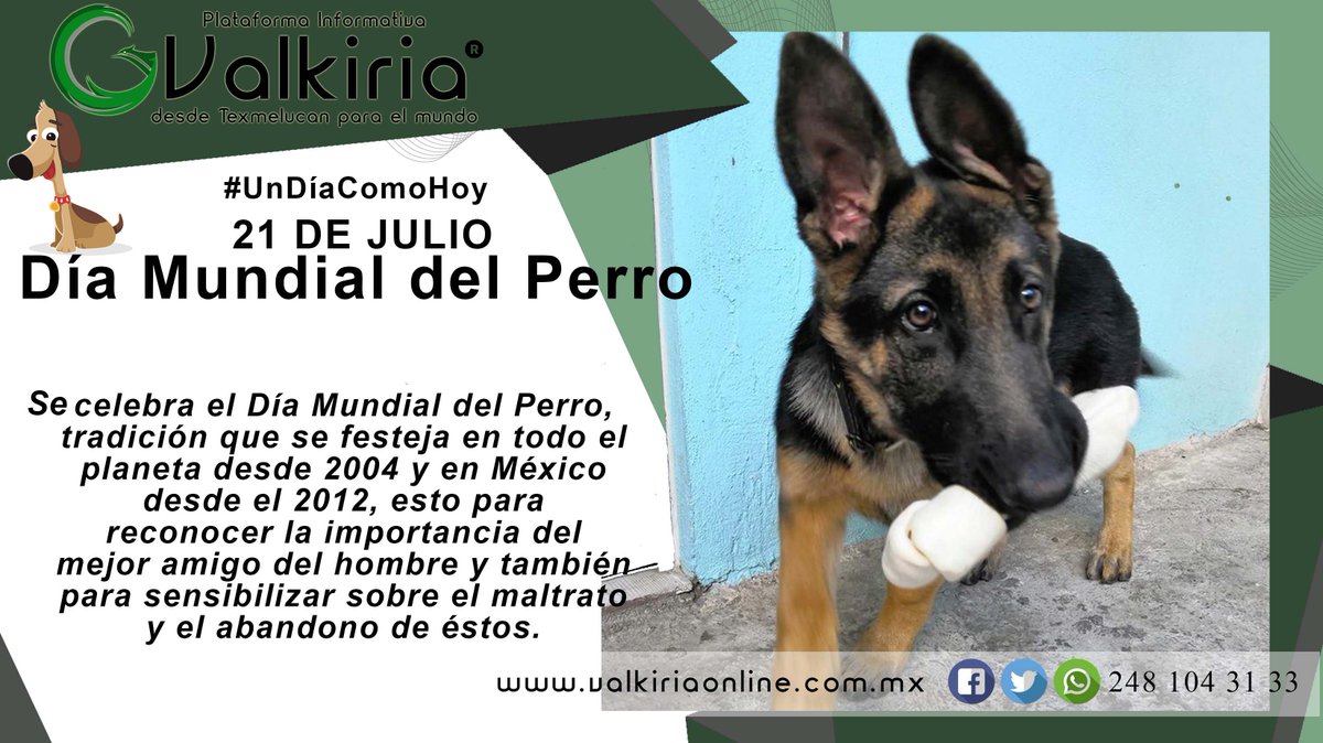valkiriaonline's tweet photo. 📆 #UnDíaComoHoy || 21 de julio, celebramos el Día Mundial del Perro 🐶.

#ValkiriaOnLine®. https://t.co/ysRbaCvep3