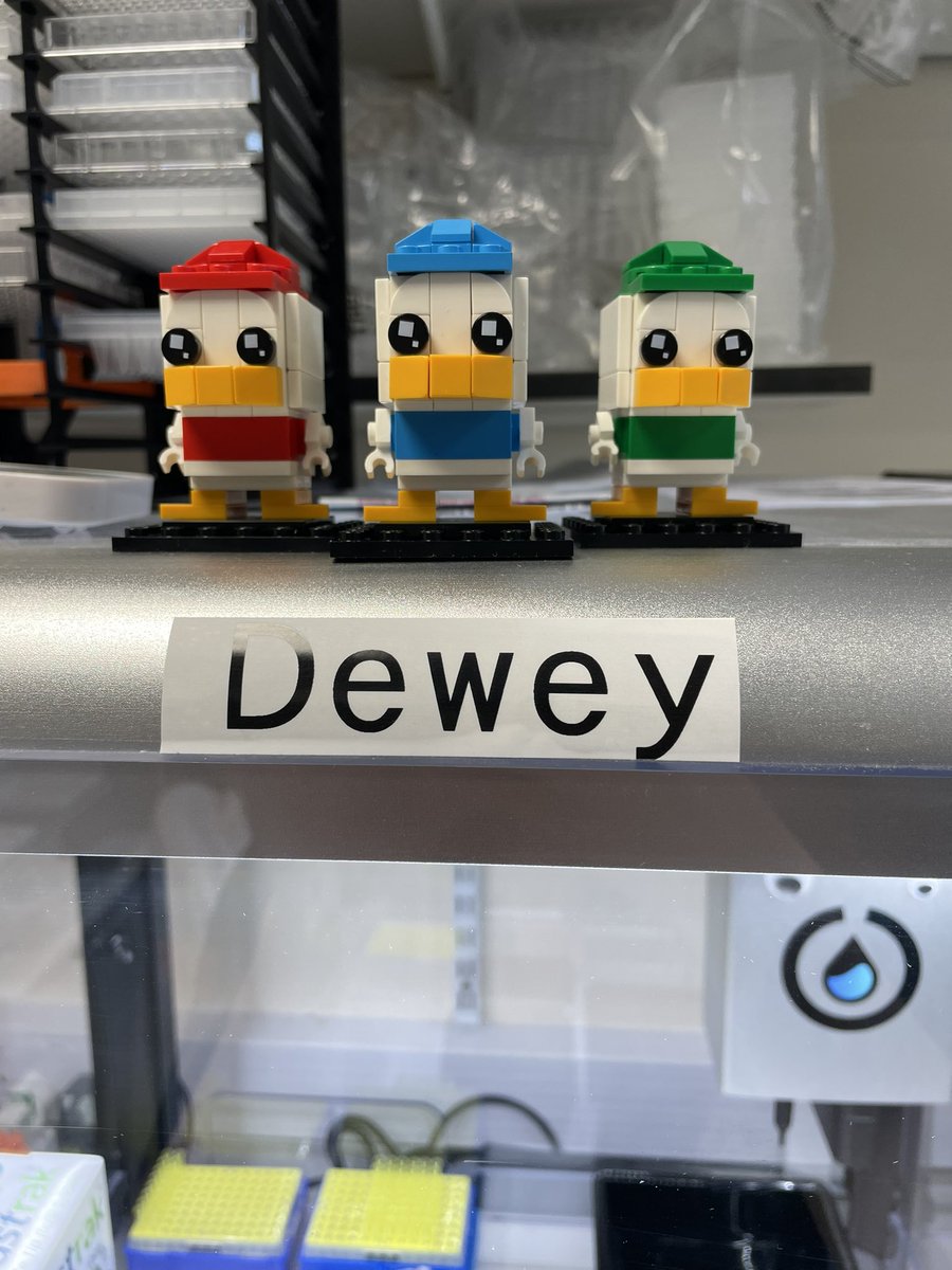 Hannah Jackson tweet media