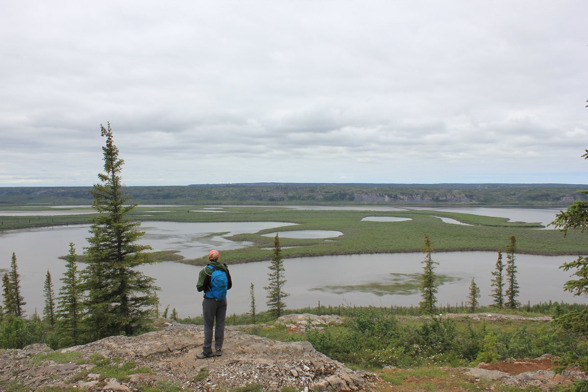 #fieldphotoFriday 
Tithegeh Chii Vitaii Lookout #NWT