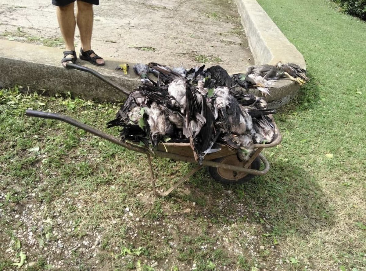 Matthew Todd 🌏🔥 tweet media