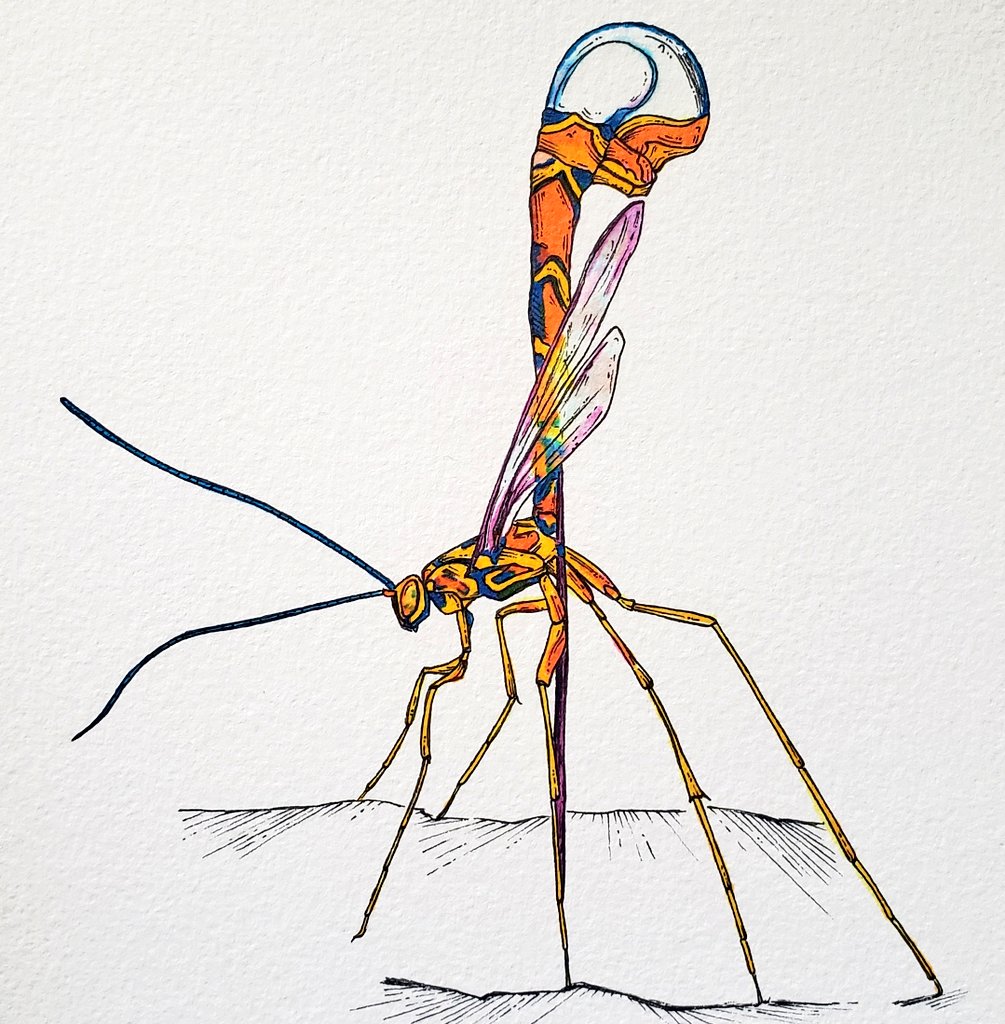 Still one of my favourite pieces