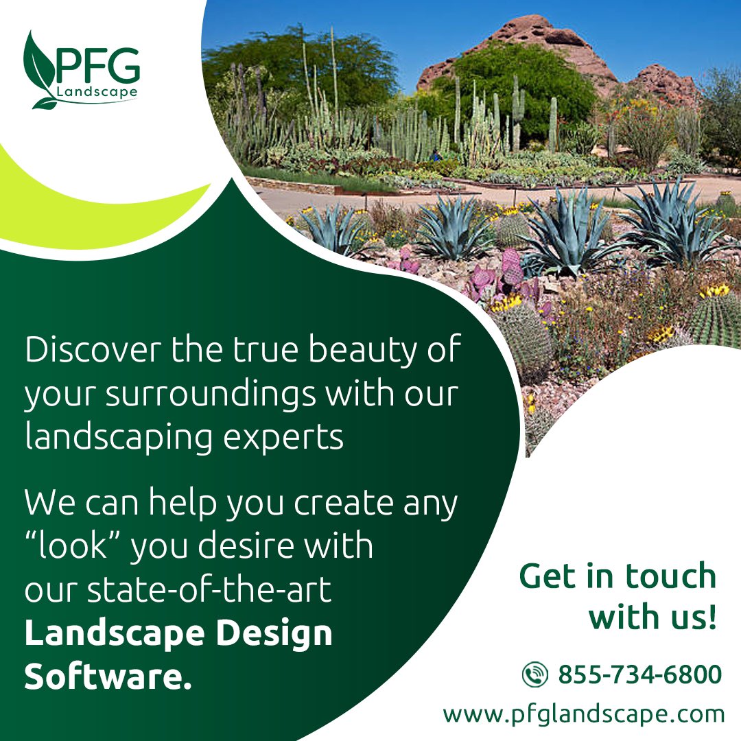 Say goodbye to cookie-cutter landscaping and hello to a personalized masterpiece that reflects your unique style. 

Visit our website: peterferrandinogroup.com

#PFGLandscape #landscapingcompany #phoenixarizona #arizonalife