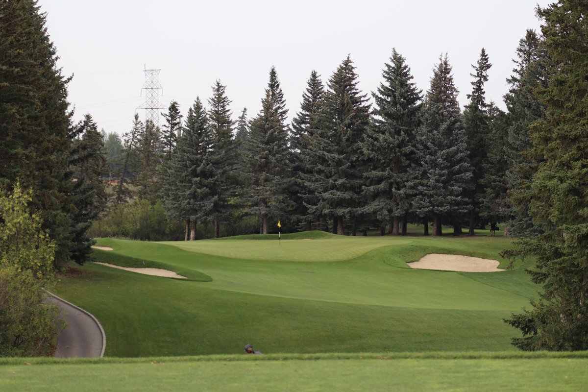 Andrew Harvie tweet media