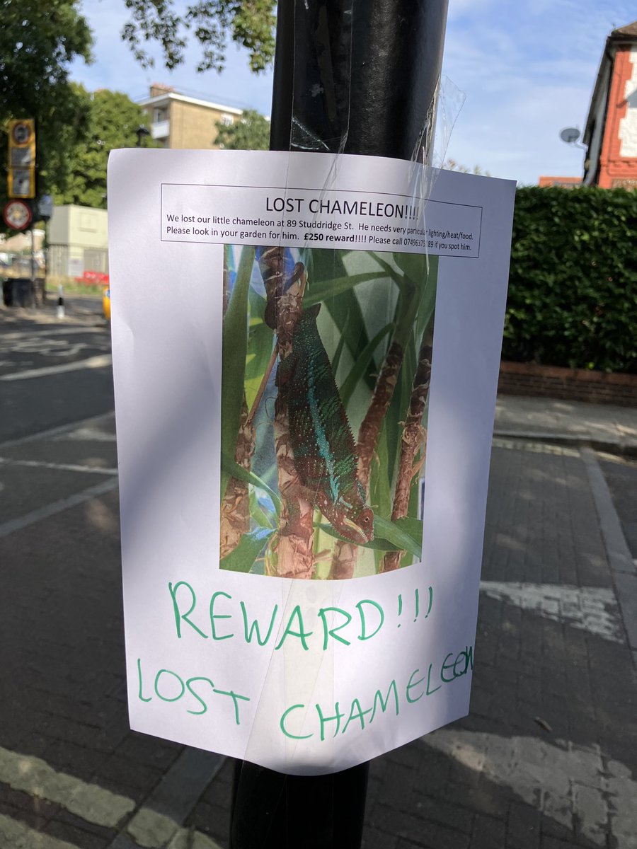 ChrisRalph's tweet photo. Things you see in Fulham. https://t.co/VnGuWOwioN