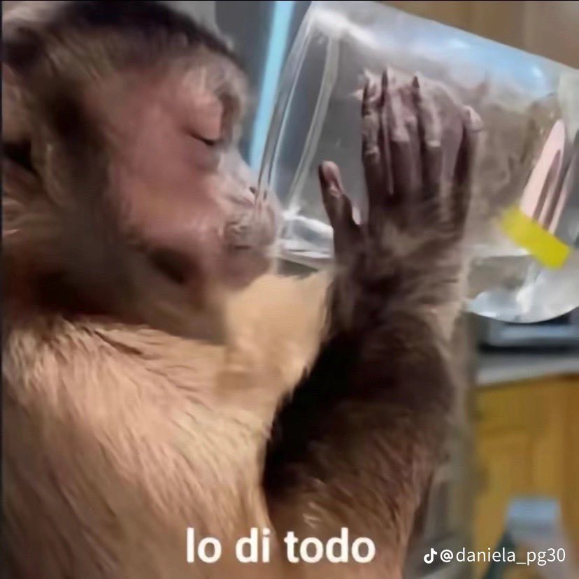 Realmente: soy JAJAJAJAJAAJA