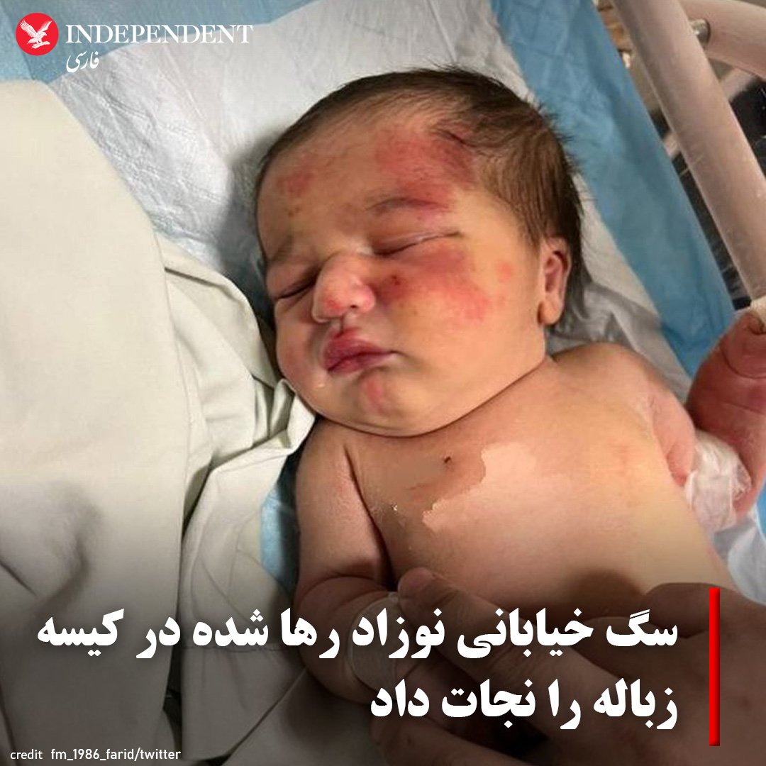atheistChild789's tweet image. این خبر یک بار دیگه این مطلب رو ثابت کرد که یک بچه رو میشه سپرد به یک سگ، ولی به قاری قرآن خیر.
