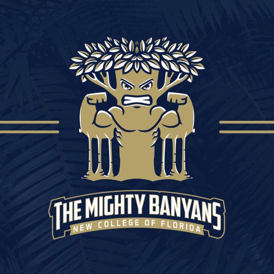 Hunter Stellato tweet media