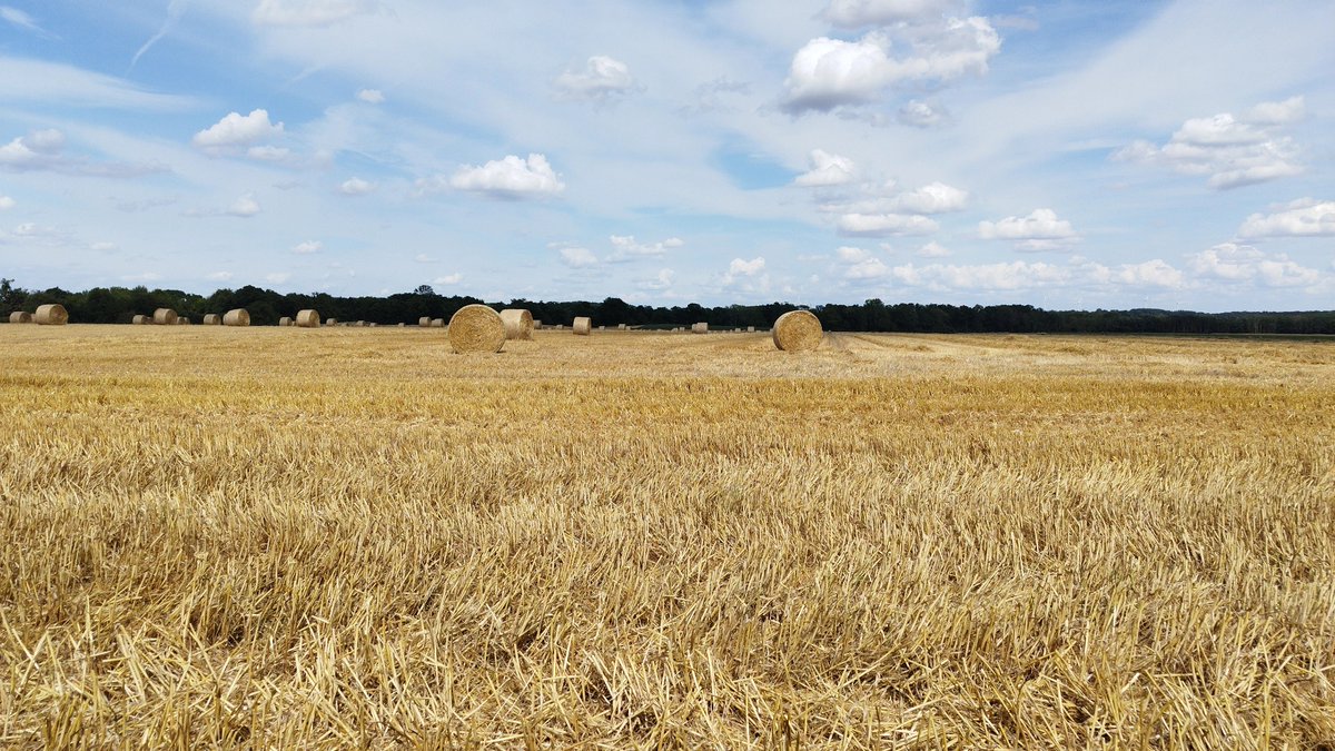 Eve et son équipe, spécialisée dans l'assurance agricole, au plusprès de leurs clients toute l'année.
Bonne récolte à tous !

#AxaEveLeclercqSebbe #uneéquipeàvoscôtés #uneagencequibouge