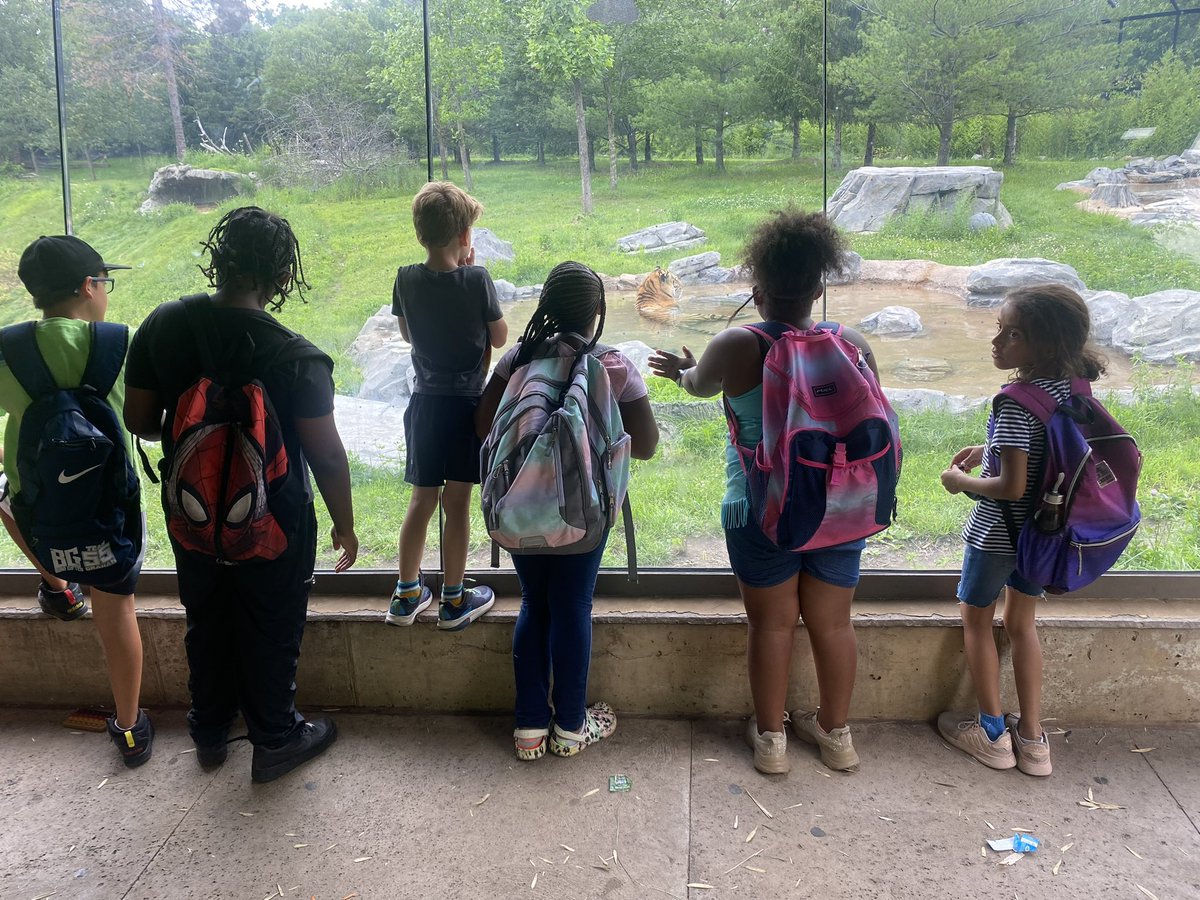 DetroitPAL's tweet photo. We had ROARING FUN at the @detroitzoo with our campers! 🦁🐠

#greatsummerdaycamp23 #detroitpal https://t.co/As86qt1dZm