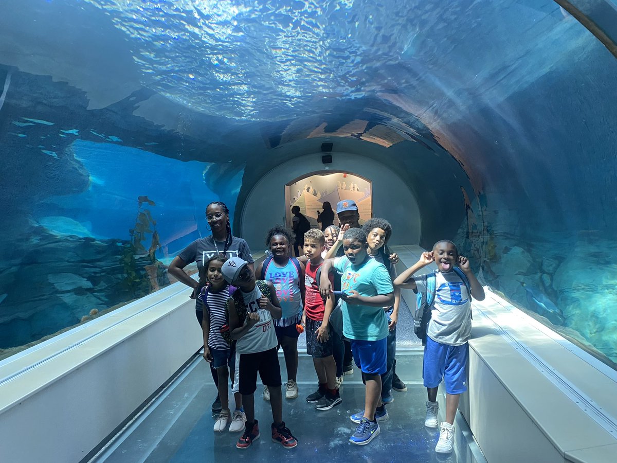 DetroitPAL's tweet photo. We had ROARING FUN at the @detroitzoo with our campers! 🦁🐠

#greatsummerdaycamp23 #detroitpal https://t.co/As86qt1dZm