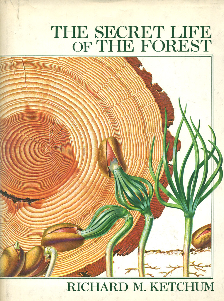 PALM REPORT ☼ tweet media