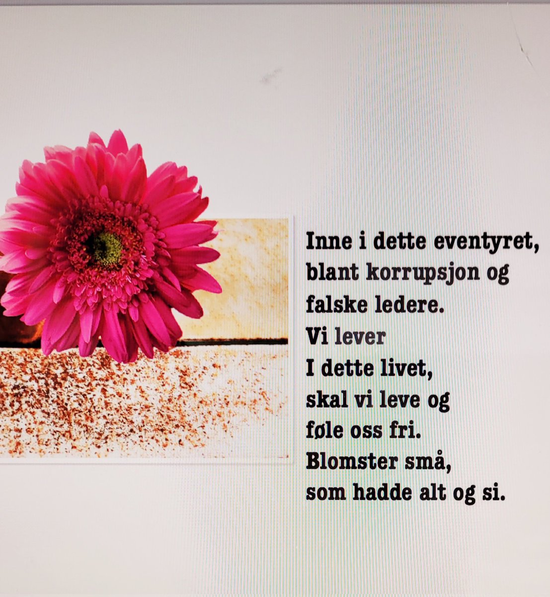 siljeflack's tweet image. #media #Stortinget