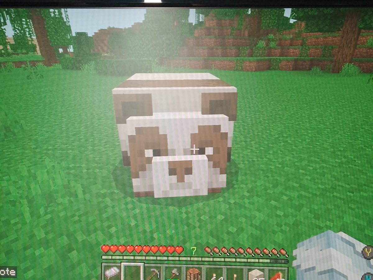 SilverVoxzel's tweet photo. Found this guy whilst traveling (the rarest panda) https://t.co/3LdxhHZN0P