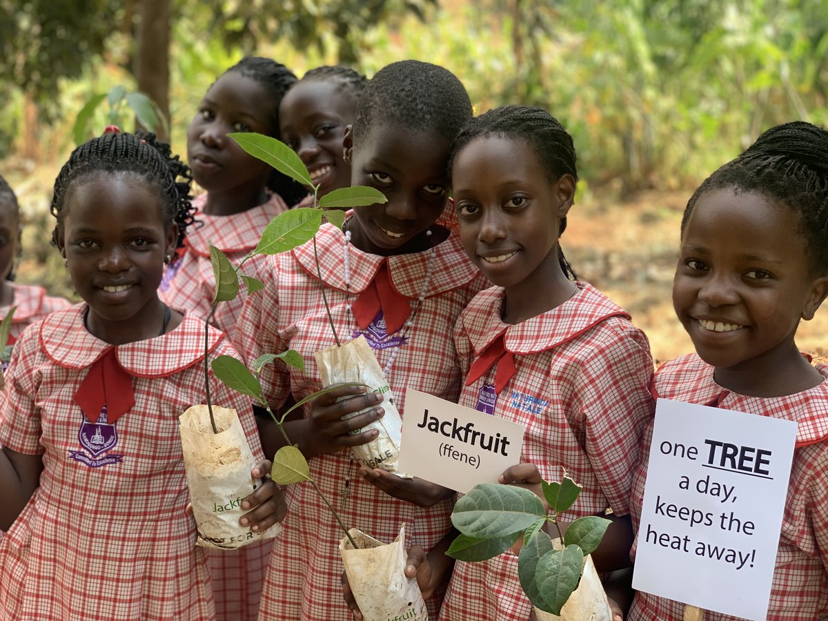 Omuti Initiative tweet media