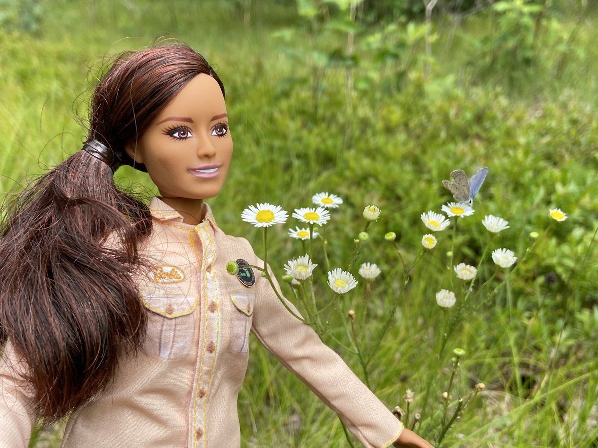 MichiganDNR's tweet image. This Barbie is a wildlife biologist.