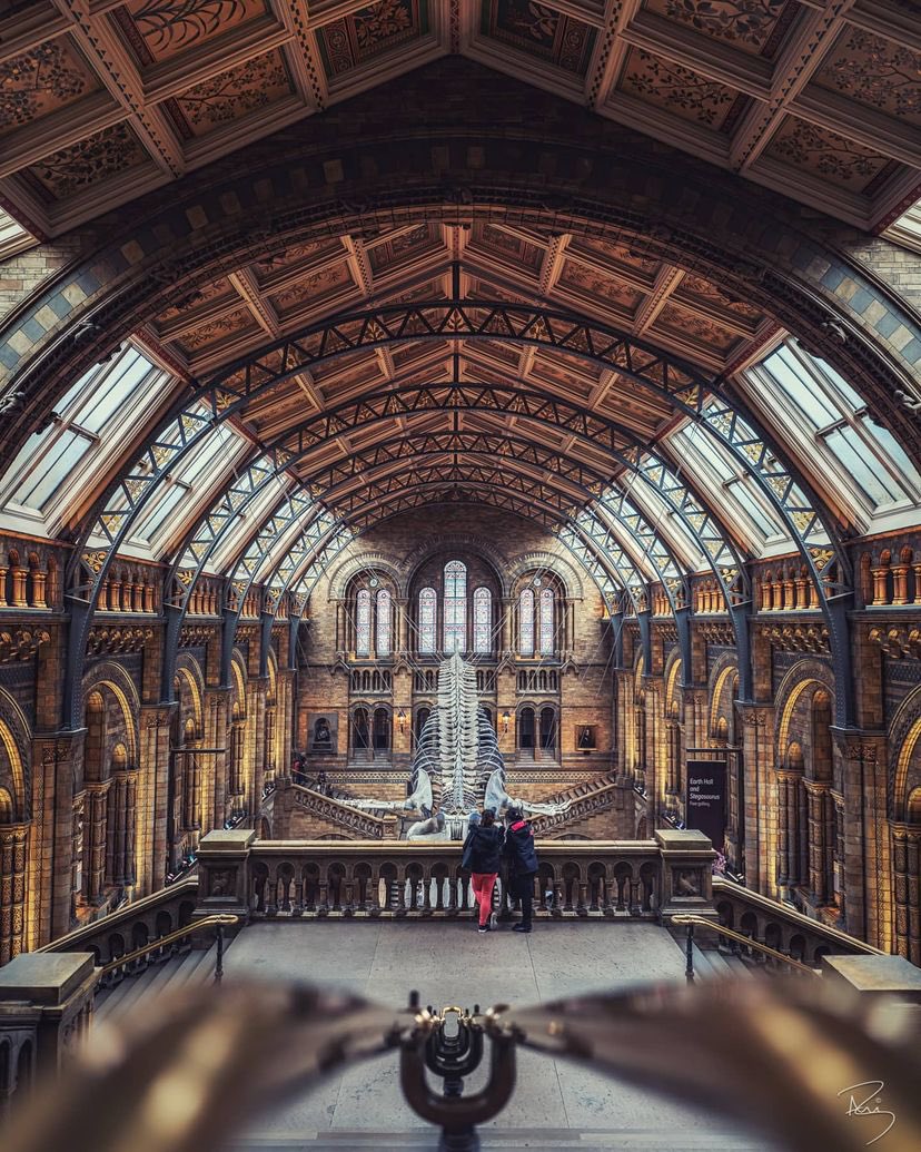 MissCelaneaOne's tweet image. Museo Historia Natural, Londres