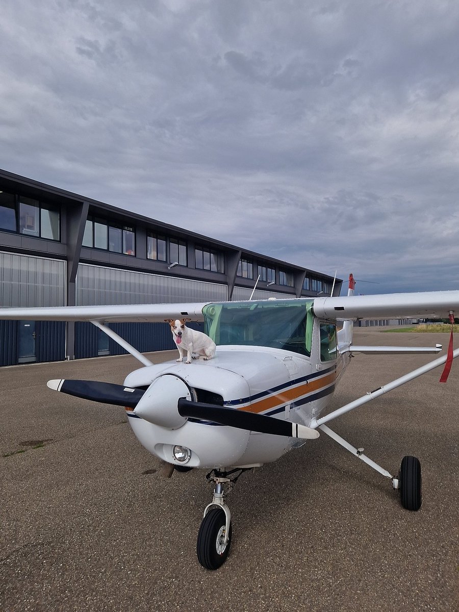 Wanderlust Swingers tweet media