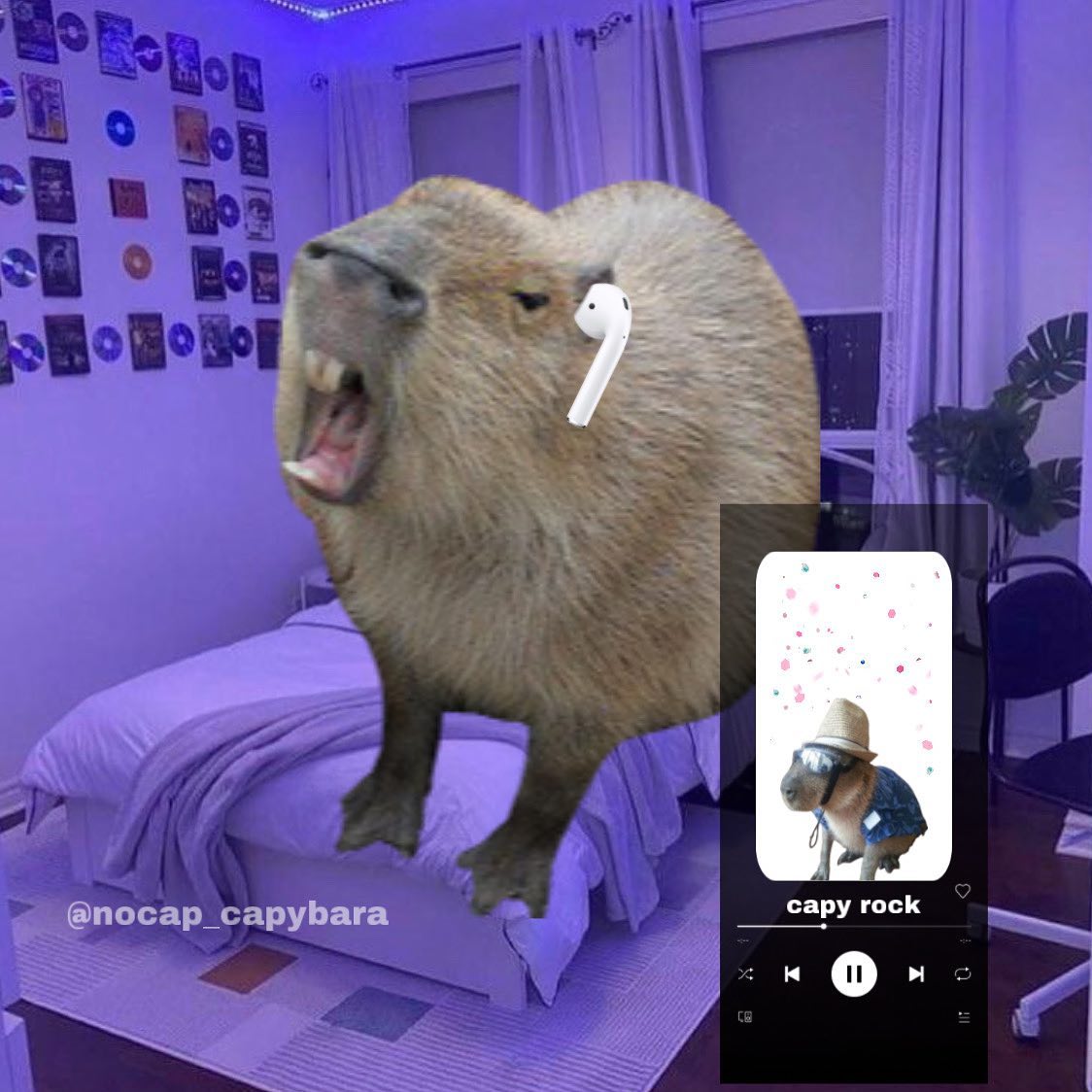 capybara_lover2's tweet photo. https://t.co/gIZq999PMh