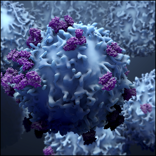 Researchers determined propofol-based #anesthesia was not superior to sevoflurane-based anesthesia in terms of alleviating suppression of immune cells, including natural killer cells and T lymphocytes, during colorectal #cancer surgery. Read more: ow.ly/foaN50PigvB