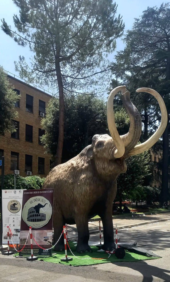 A note from Thelonius Tusk, your #INQUARoma2023 mammoth 🦣 mascot - I got the blues!🎶🎷 Feelin' lonely without you here at La Sapienza, but I know I'm not *totally extinct*w/ all the science work you do -- it's #TimeForChange -- don't 4get me, let's make Earth cool again