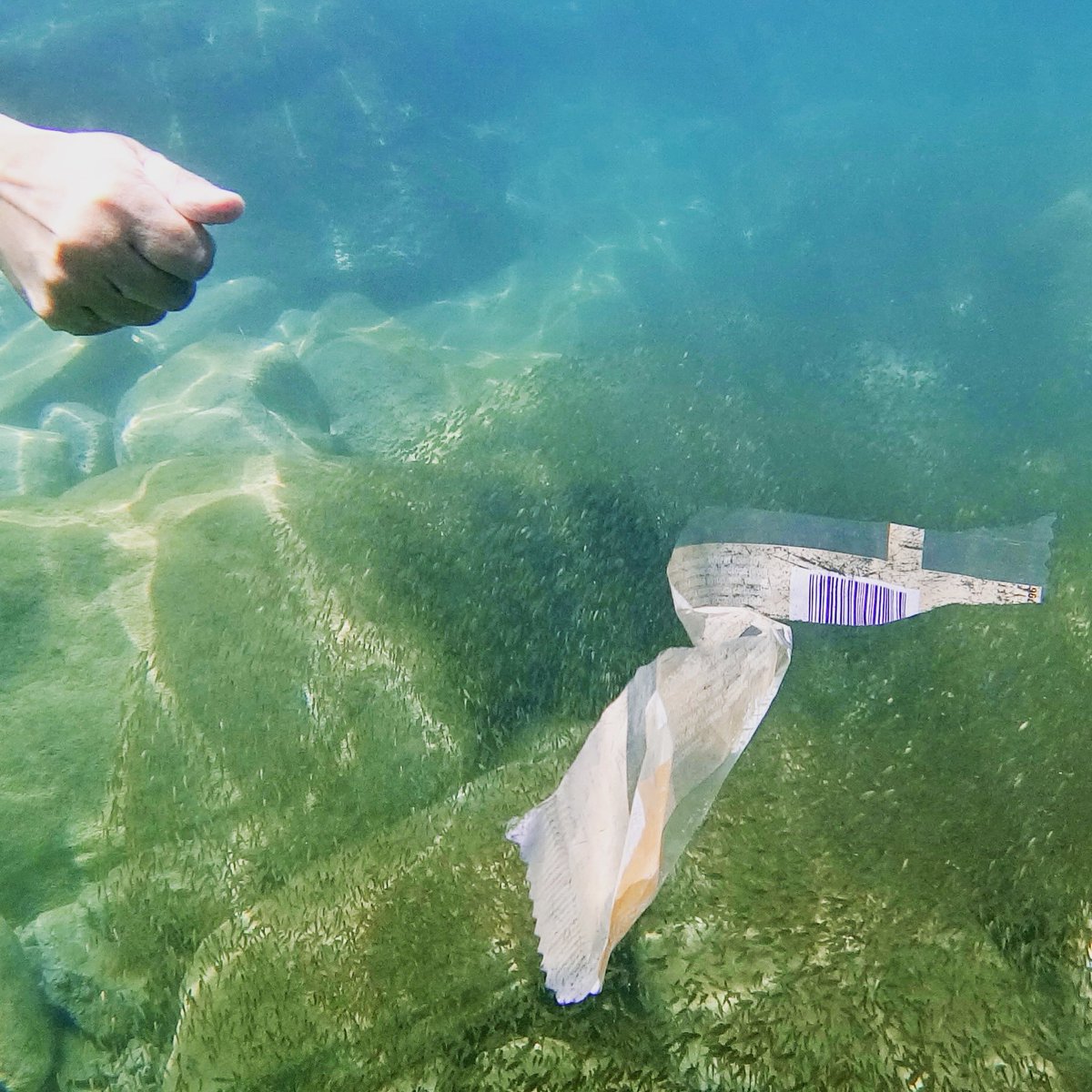 Cleaning plastics from the oceans, bit by bit♻️ . We are working trough the holidays🌊
.
#savingtheseas #clewatco #savetheplanet #marineplastics #holiday